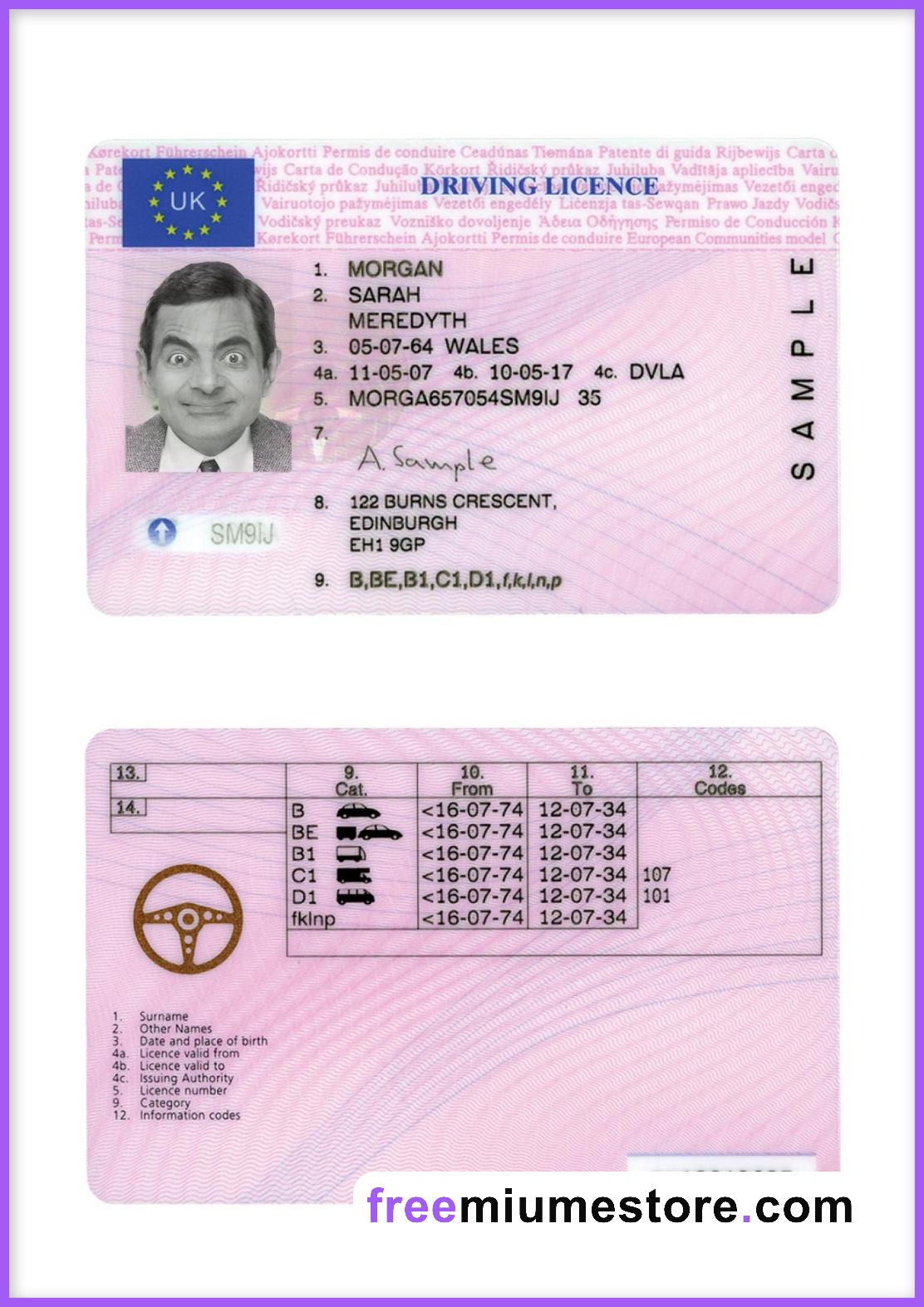 Uk Driver license PSD Template